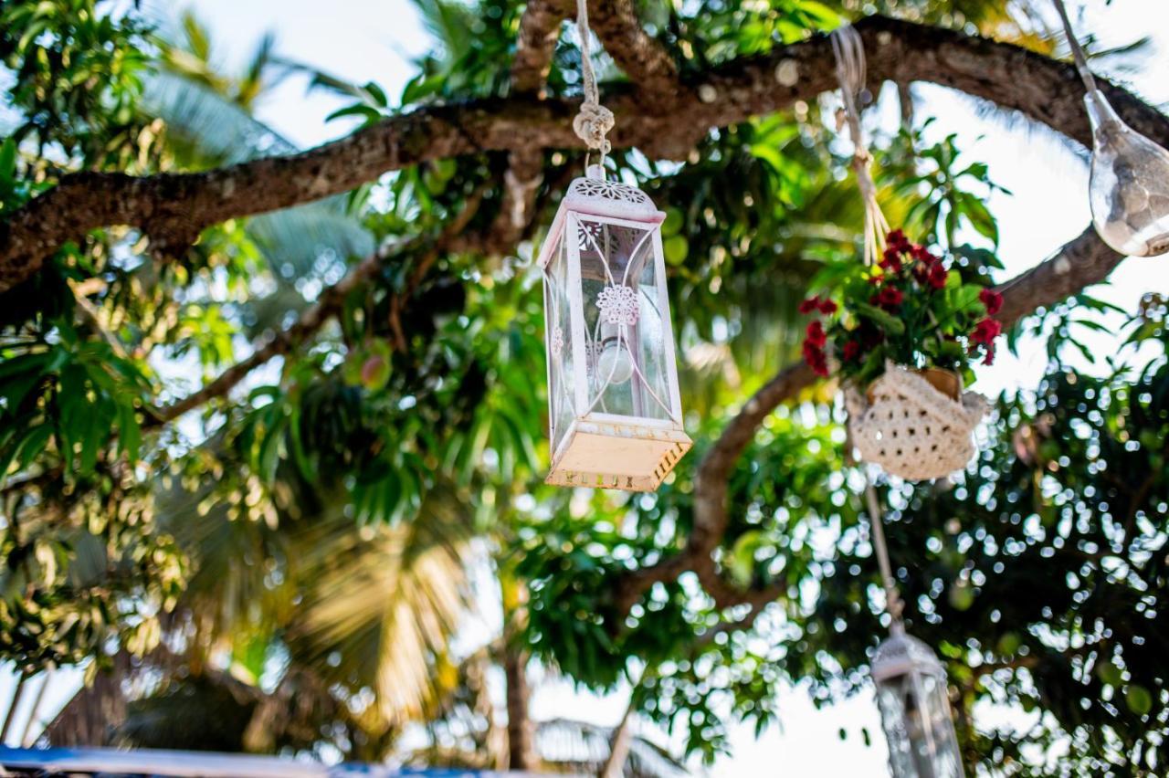 White House In Goa, Truly Amazing Experience Bed and Breakfast Saligao Buitenkant foto